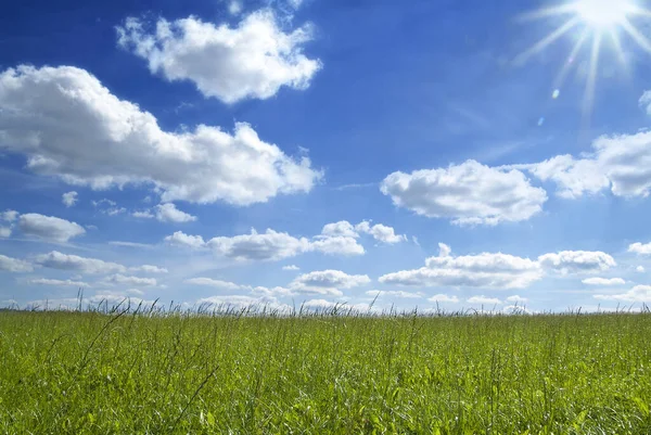 Pintoresca Vista Del Paisaje Rural — Foto de Stock