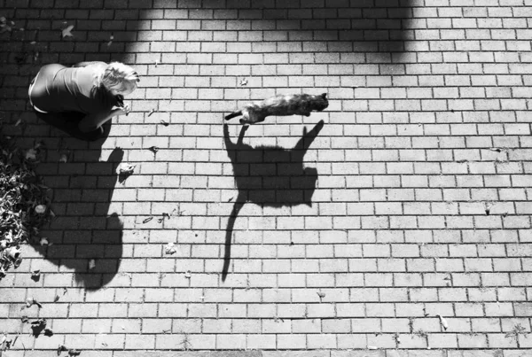 Silueta Una Mujer Con Grafito Pared — Foto de Stock