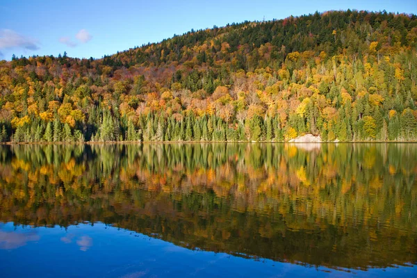 Follaje Colorido Otoñal Con Reflexión Sobre Lago — Foto de Stock