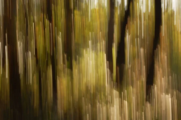 Abstract Background Motion Blur — Stock Photo, Image