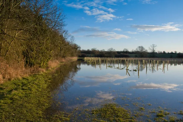 Wolkenreflexion Überfluteten Feldern — Stockfoto