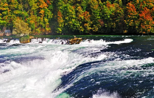 Rheinfall Corredeiras Fluviais Outono — Fotografia de Stock