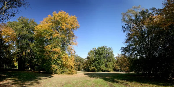 Atmosfera Jesienna Ostrość Selektywna — Zdjęcie stockowe