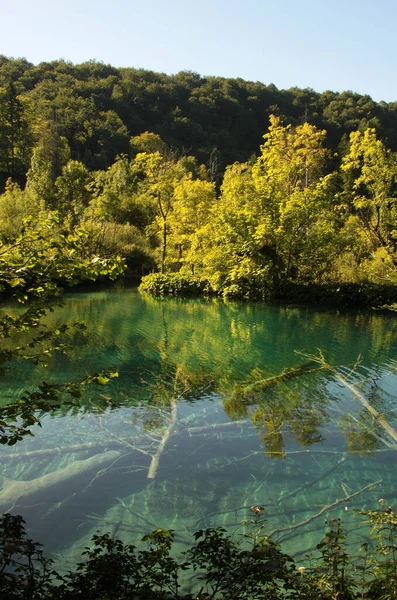 Čisté Jezero Parku Chorvatsku — Stock fotografie