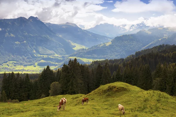 Vista Panorámica Del Majestuoso Paisaje Los Alpes — Foto de Stock