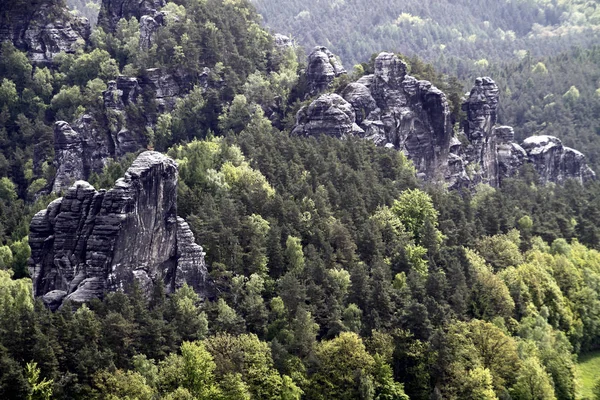 Bastei Deki Kayalar Saksonya — Stok fotoğraf