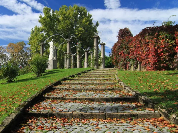 Jesienny Park Drzewami Roślinami — Zdjęcie stockowe