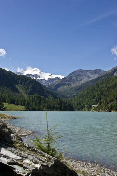 Pemandangan Pemandangan Dari Pemandangan Alpen Megah — Stok Foto