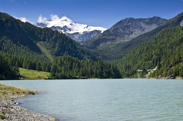Traveling Beautiful Alps — Stock Photo, Image