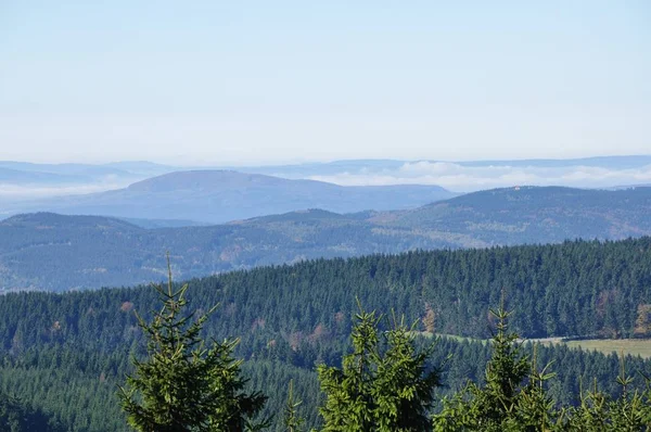 Panorama Drosselwald Wunderschöne Berge — Stockfoto