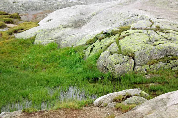 Grama Pedra Água — Fotografia de Stock