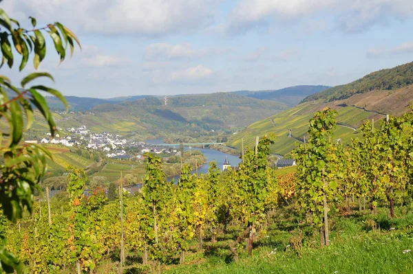 Moseltal Reil Und Burg — Stockfoto