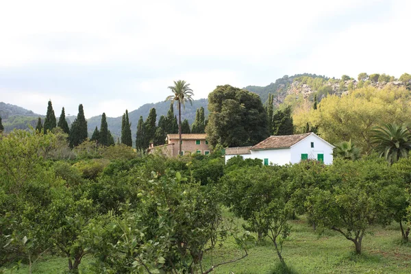 Mallorca Eilanden Middellandse Zee — Stockfoto