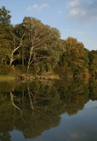 Jesień Łąkach Dunaju — Zdjęcie stockowe