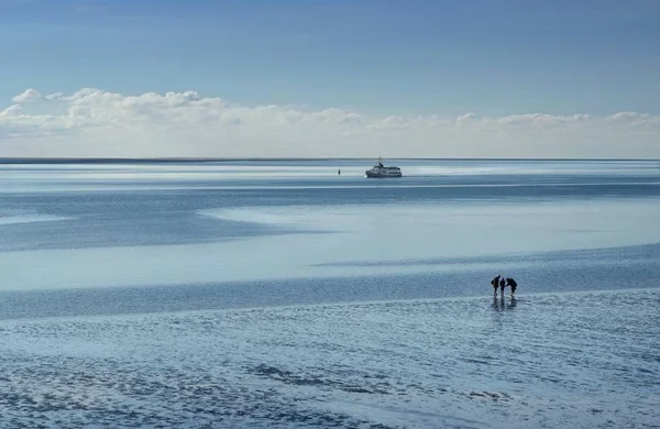 Mudflats Mar Norte Com Navio — Fotografia de Stock