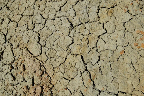 Venkovský Život Selektivní Zaměření — Stock fotografie