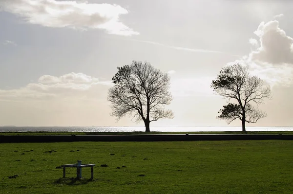 Bäume Der Hafenausfahrt — Stockfoto