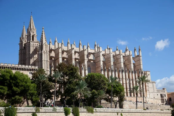 Palma Mallorca Cathedral — Stock Photo, Image