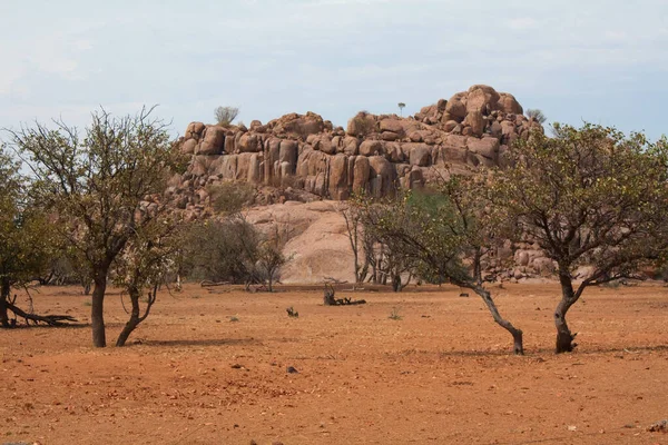 Désert Namibie Afrique — Photo