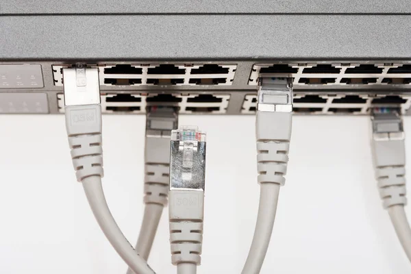 Kabel Jaringan Yang Terhubung Switch Internet — Stok Foto