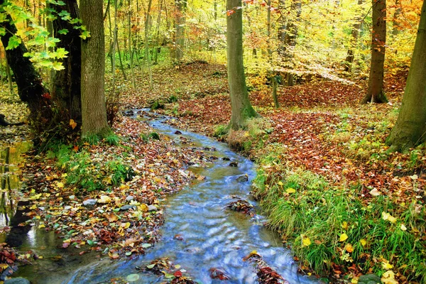 Pohádkový Les Potokem Podzim — Stock fotografie