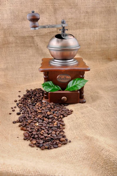 Vintage Młynek Kawy Roślin Kawy Granulkach — Zdjęcie stockowe