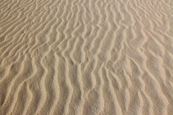 沙漠表面 — 图库照片