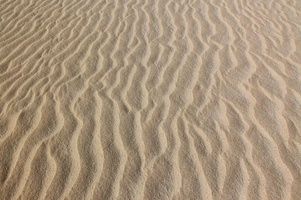 Désert Sable Surface Géologie — Photo