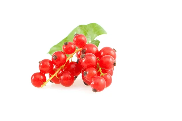 Berries Closeup Shot Konsep Makanan Sehat — Stok Foto