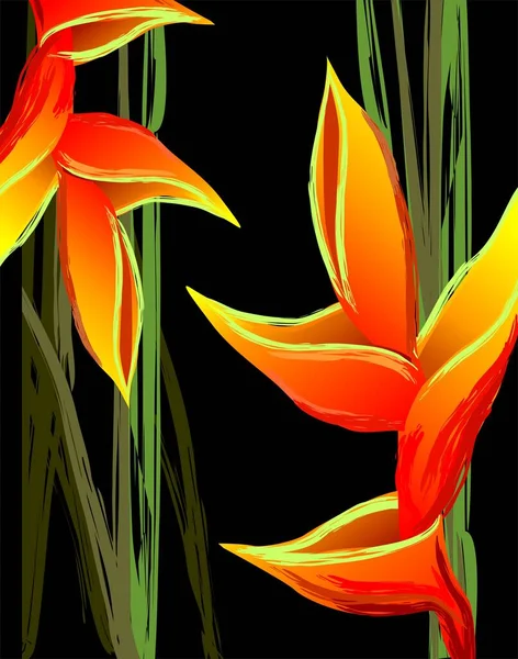 Digital Painting Colourful Flower — Stock Photo, Image