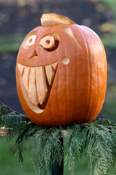 Halloween Tök Ijesztő Arc Erdőben — Stock Fotó