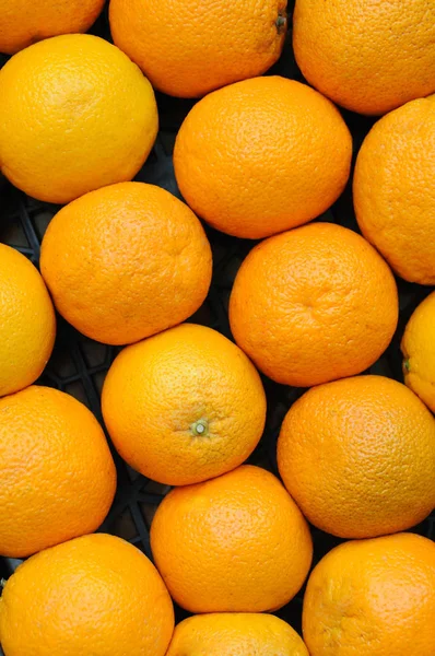 Citrusfélék Édes Narancs — Stock Fotó