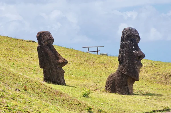 Île Pâques Moai Ranu Raraku — Photo