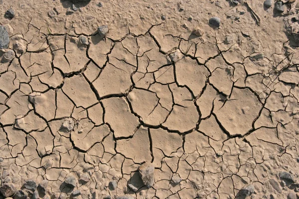 Textura Del Suelo Tierra —  Fotos de Stock