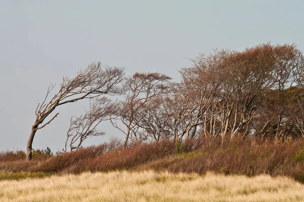 Strand Sylt Ünnepek Baltikus Tenger — Stock Fotó