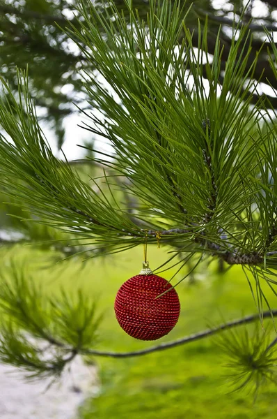 Närbild Bild Jul Boll Semester Dekorationer — Stockfoto