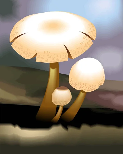 Mushroom Bajo Luz Luna — Foto de Stock