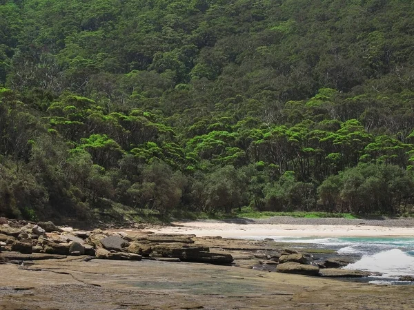 Orilla Rocosa Salvaje Australia —  Fotos de Stock