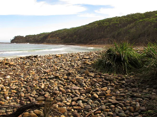 Vild Strand Australien — Stockfoto