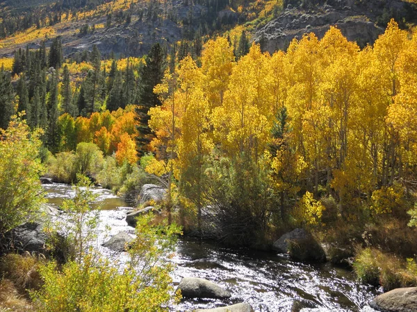 Prachtig Uitzicht Natuur Scene — Stockfoto