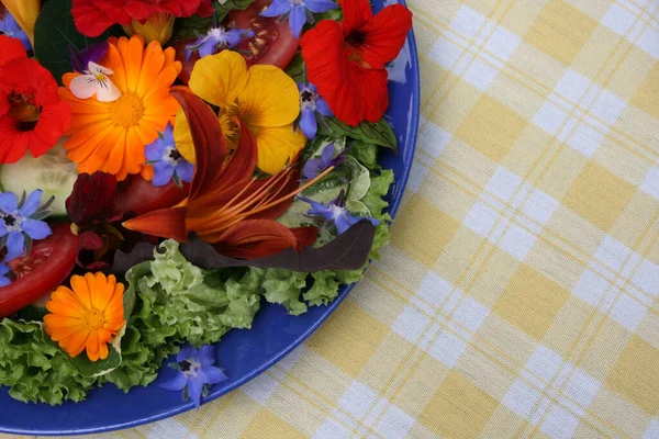 Piring Salad Dengan Bunga Langit Langit — Stok Foto