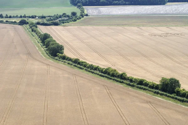 Kukoricaföldek Vele Pewsey Hills Anglia — Stock Fotó