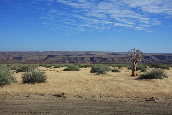 Fish River Canyon Namíbia — Fotografia de Stock