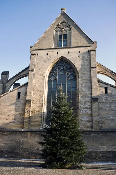 Igreja Velha Com Árvore Natal — Fotografia de Stock