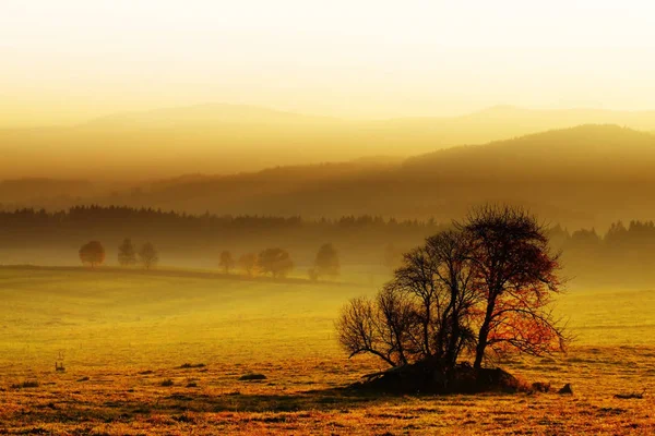 Vacker Utsikt Över Naturen Landskap — Stockfoto