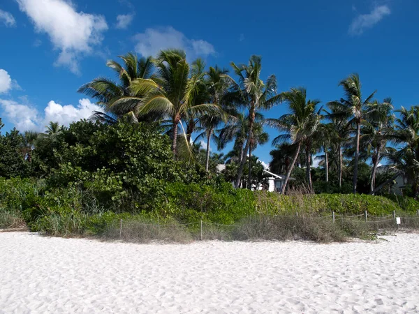 Floryda Jest Najbardziej Wysuniętym Południowy Wschód Stanem Usa Atlantykiem Jednej — Zdjęcie stockowe