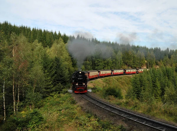 Kolei Wąskotorowej Harz Drei Annen Hohne — Zdjęcie stockowe