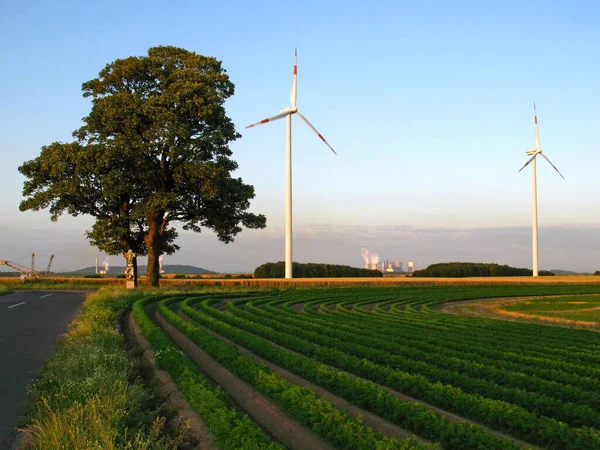 Producción Energía Turbina Eólica Energía Eólica — Foto de Stock