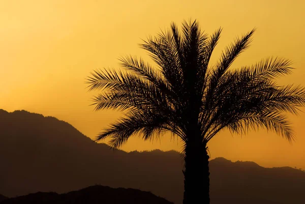 Schöne Aussicht Auf Die Natur — Stockfoto