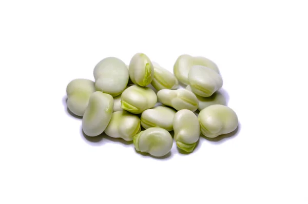 Broad Beans Isolated White Background — Stock Photo, Image